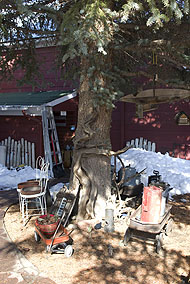 Photo of the Pine Emporium